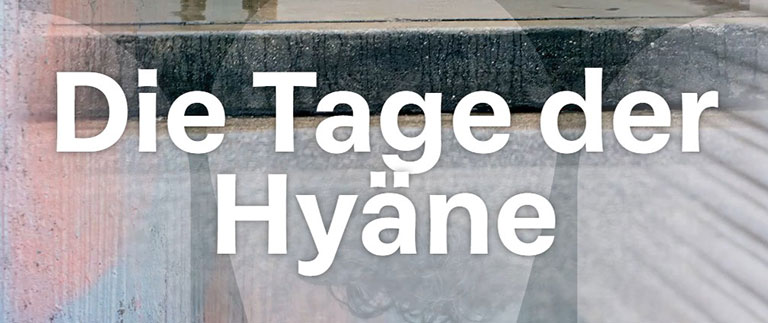 Die Tage der Hyäne Hannover 768x